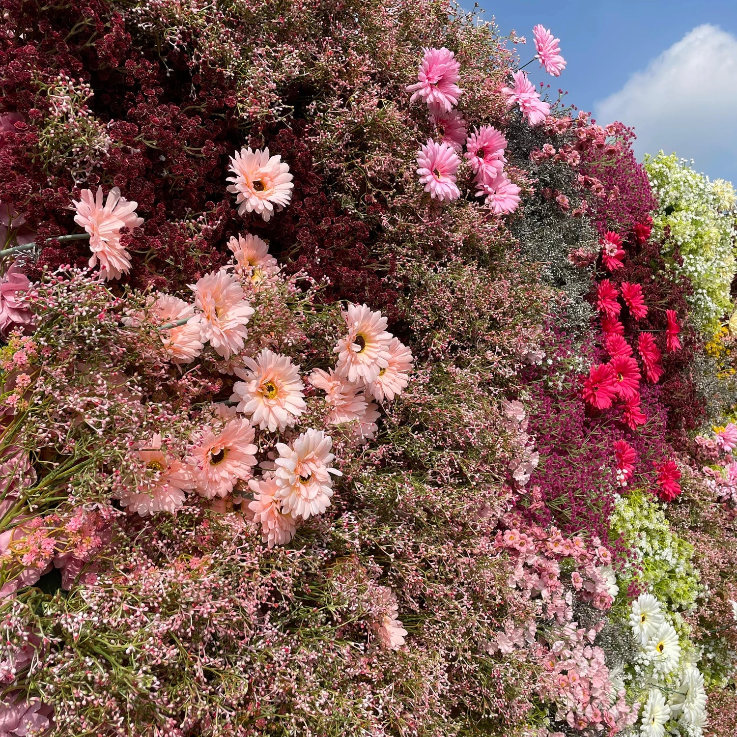 Premium 5D “Saffie” flower wall cloth back