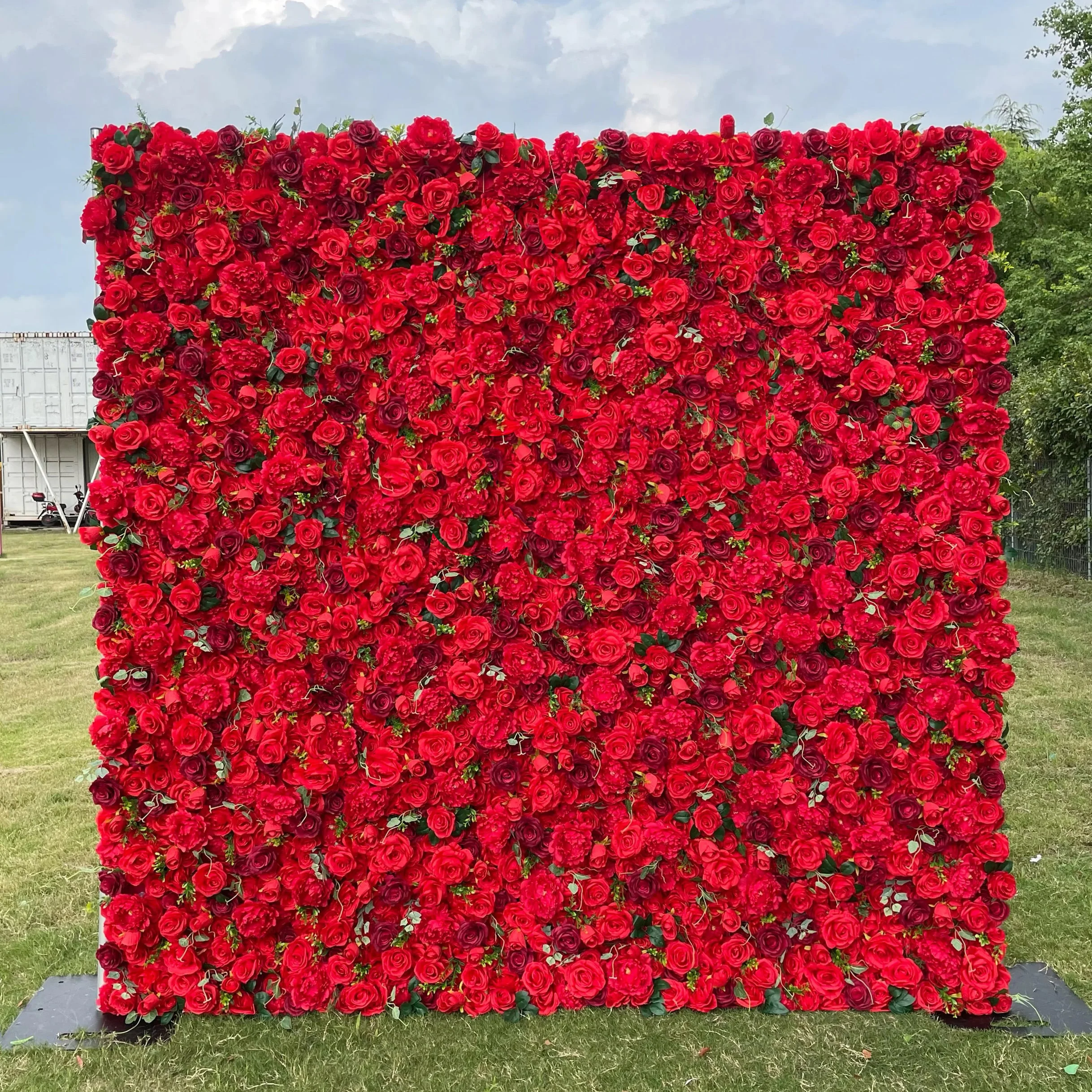 Deluxe 5D “Scarlet” flower wall cloth back