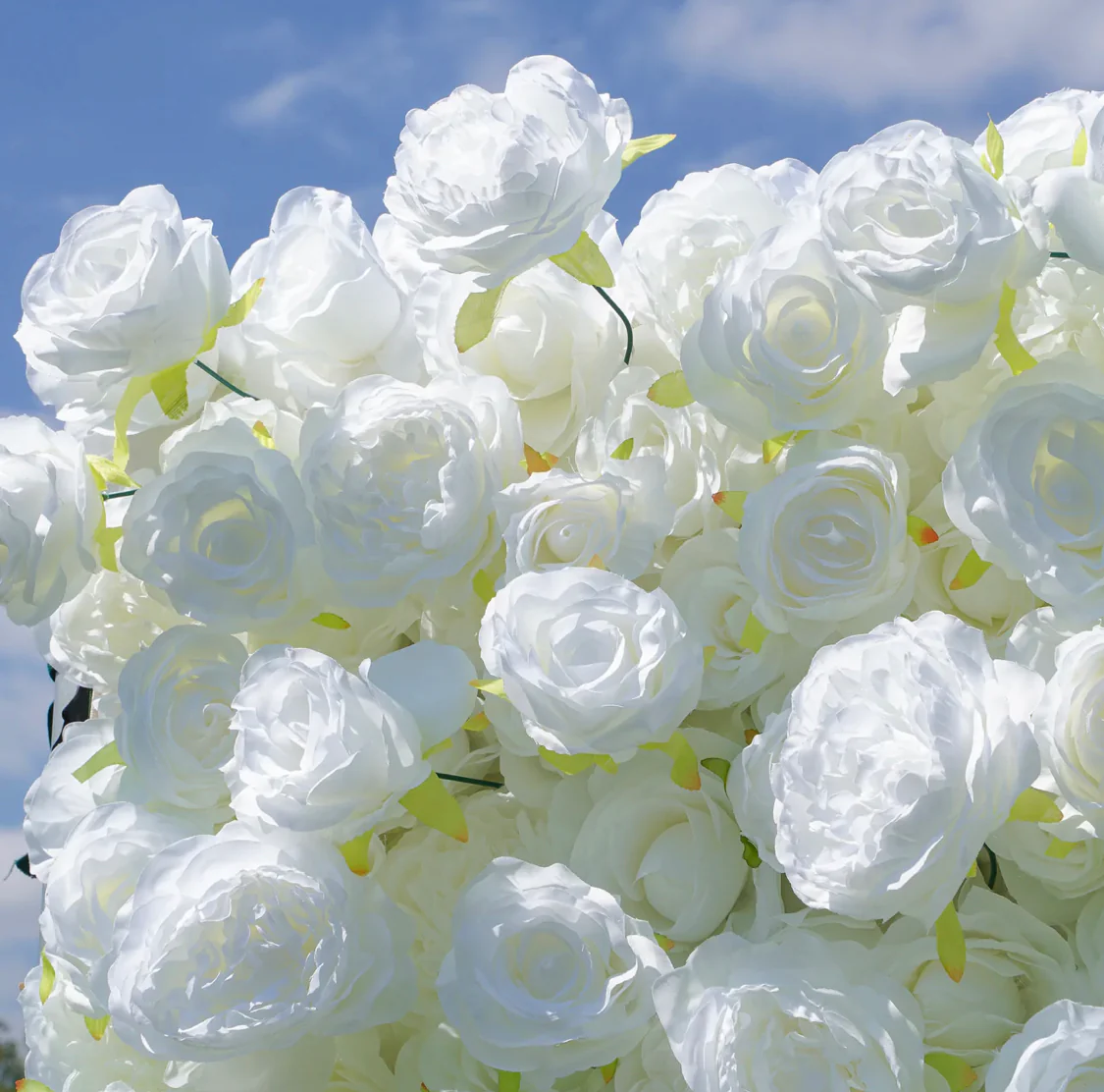 Deluxe 5D “Stephanie” flower wall cloth back