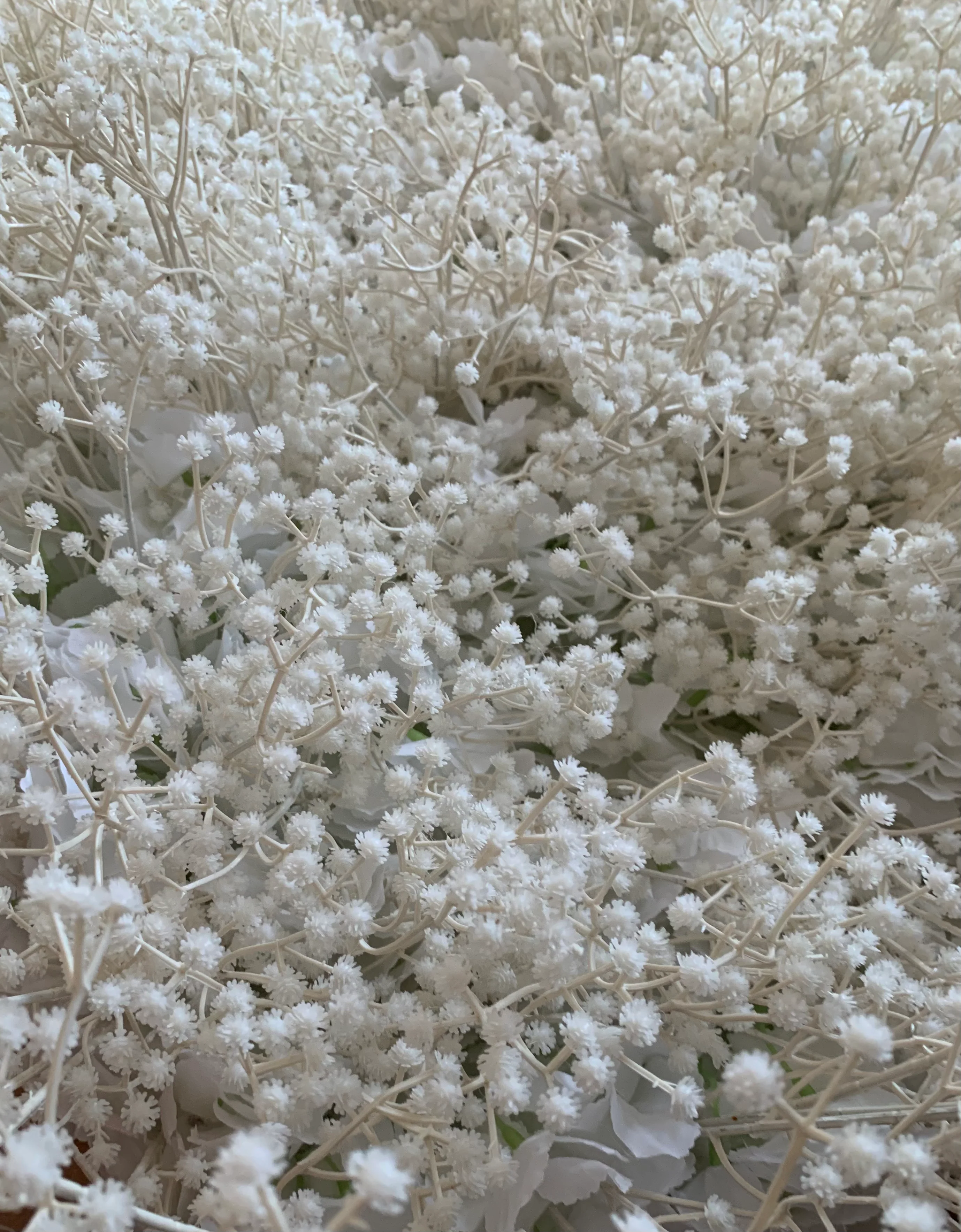 Gypsopehlia flower wall cloth back, choose green or white stems!