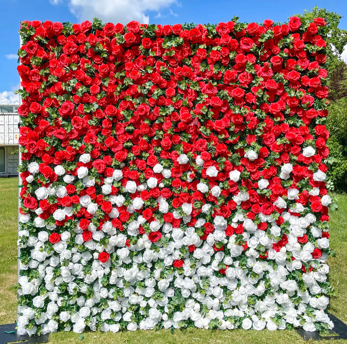 Deluxe 5D “Dorothy” flower wall cloth back