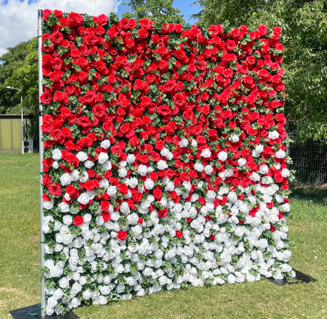 Deluxe 5D “Dorothy” flower wall cloth back