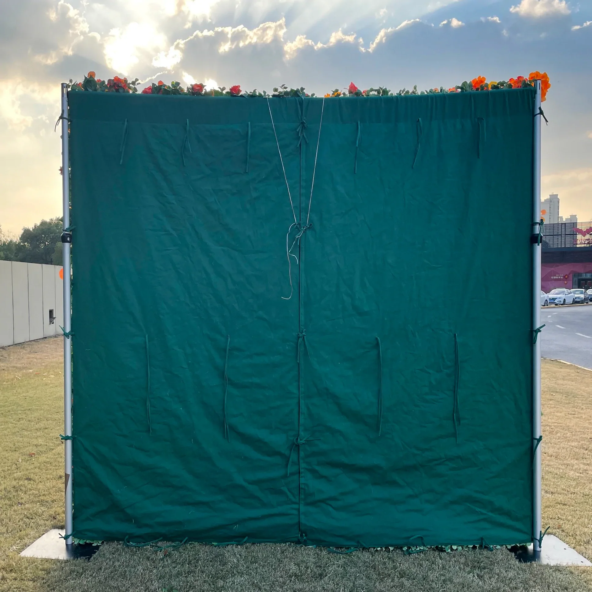 Deluxe 5D “Eve” flower wall cloth back