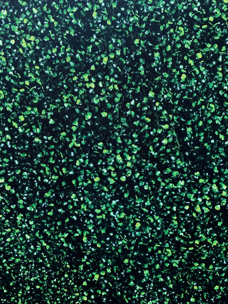 2 meter diameter hoop frame foliage cover