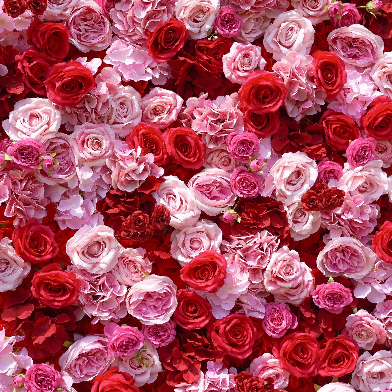 Deluxe 5D “Fiona” flower wall cloth back