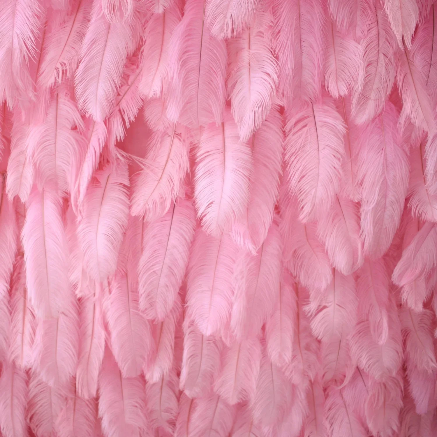 Pink Feather wall cloth back curtain backdrop white