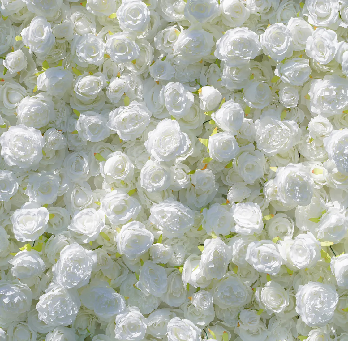 Deluxe 5D “Stephanie” flower wall cloth back