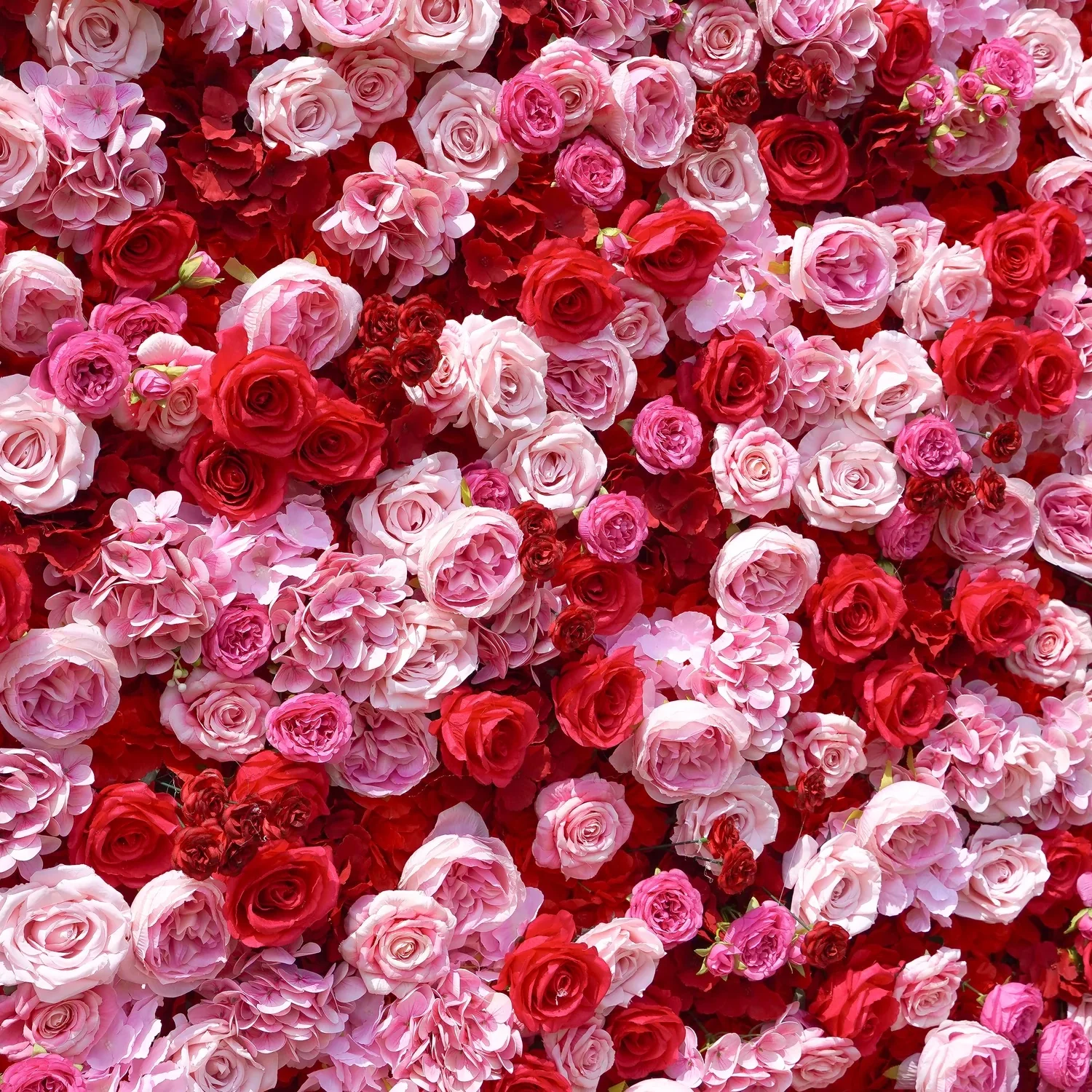 Deluxe 5D “Fiona” flower wall cloth back