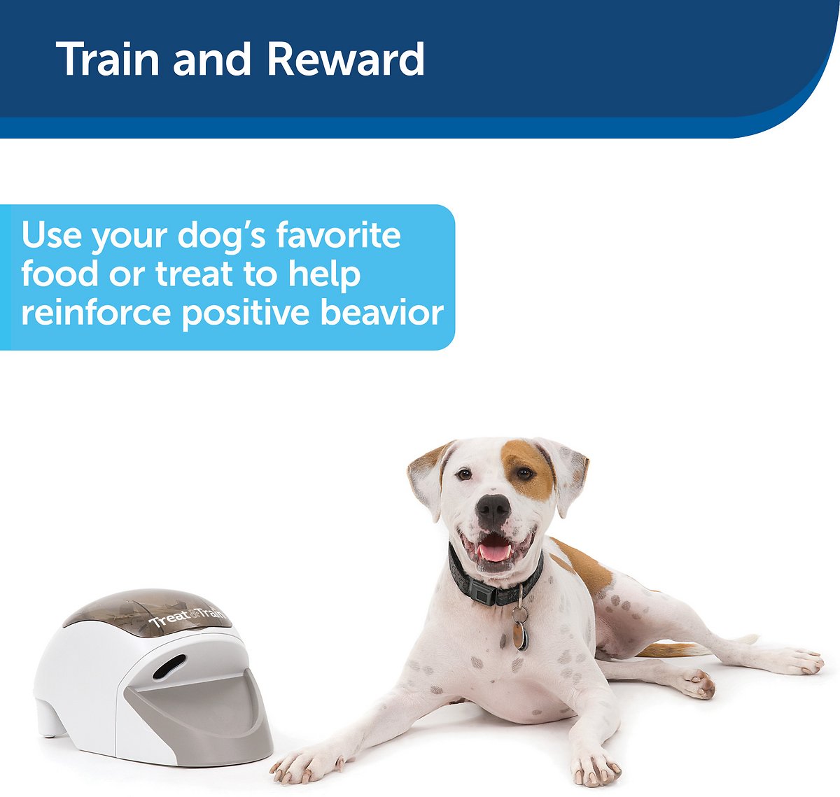 PetSafe Treat and Train - systém pro dálkový výcvik psů s odměnou, pozitivním posilováním, uklidňujícím chováním, vyhýbáním se rozptylování, obsahuje výcvikové DVD, ukazovací hůlku a dálkové ovládání, pro psy od 6 let