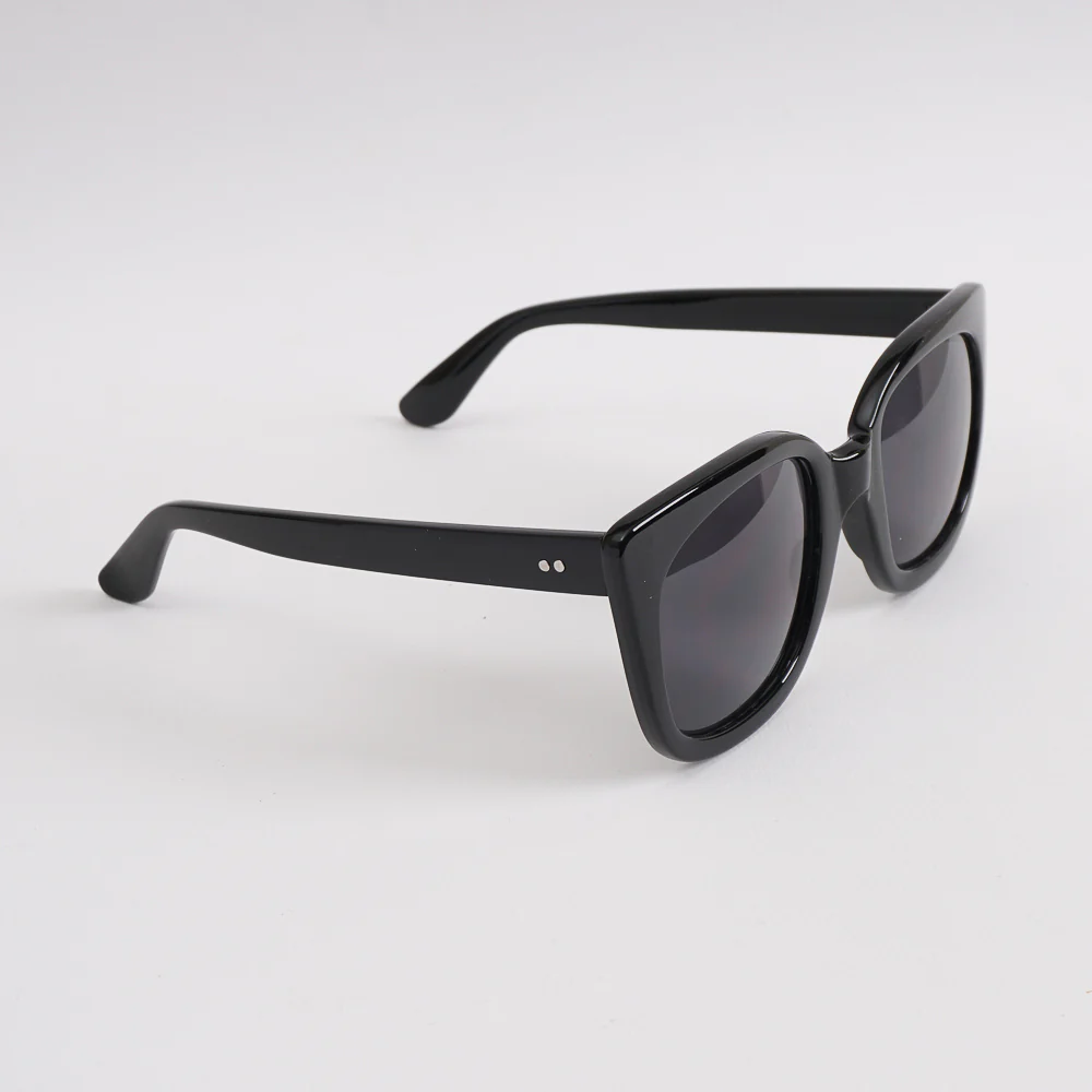 Black Frame Sunglasses with Black Shade