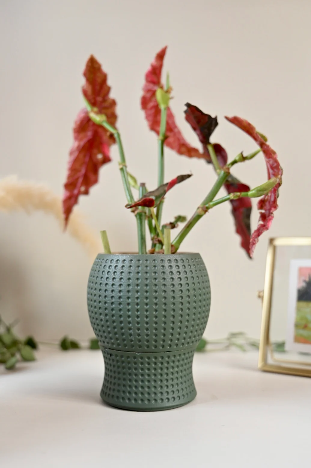 Dottie Self Watering Pot