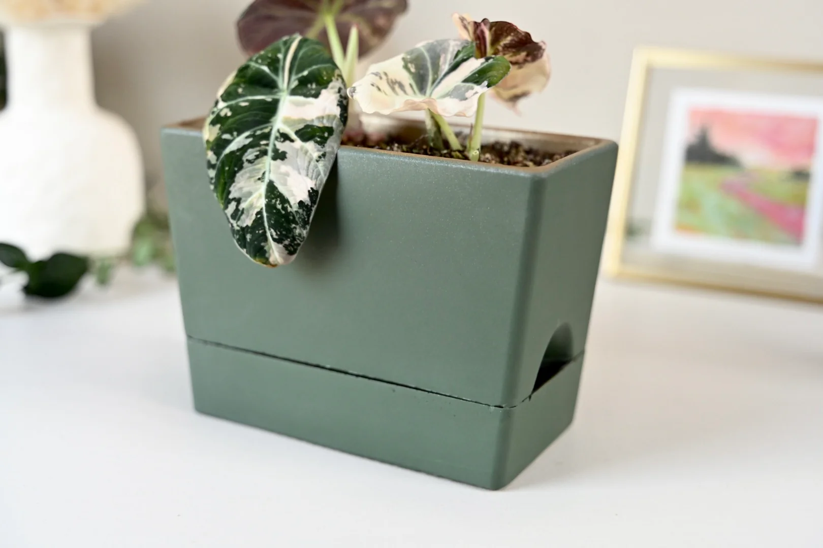 Self Watering Rectangle Planter Box