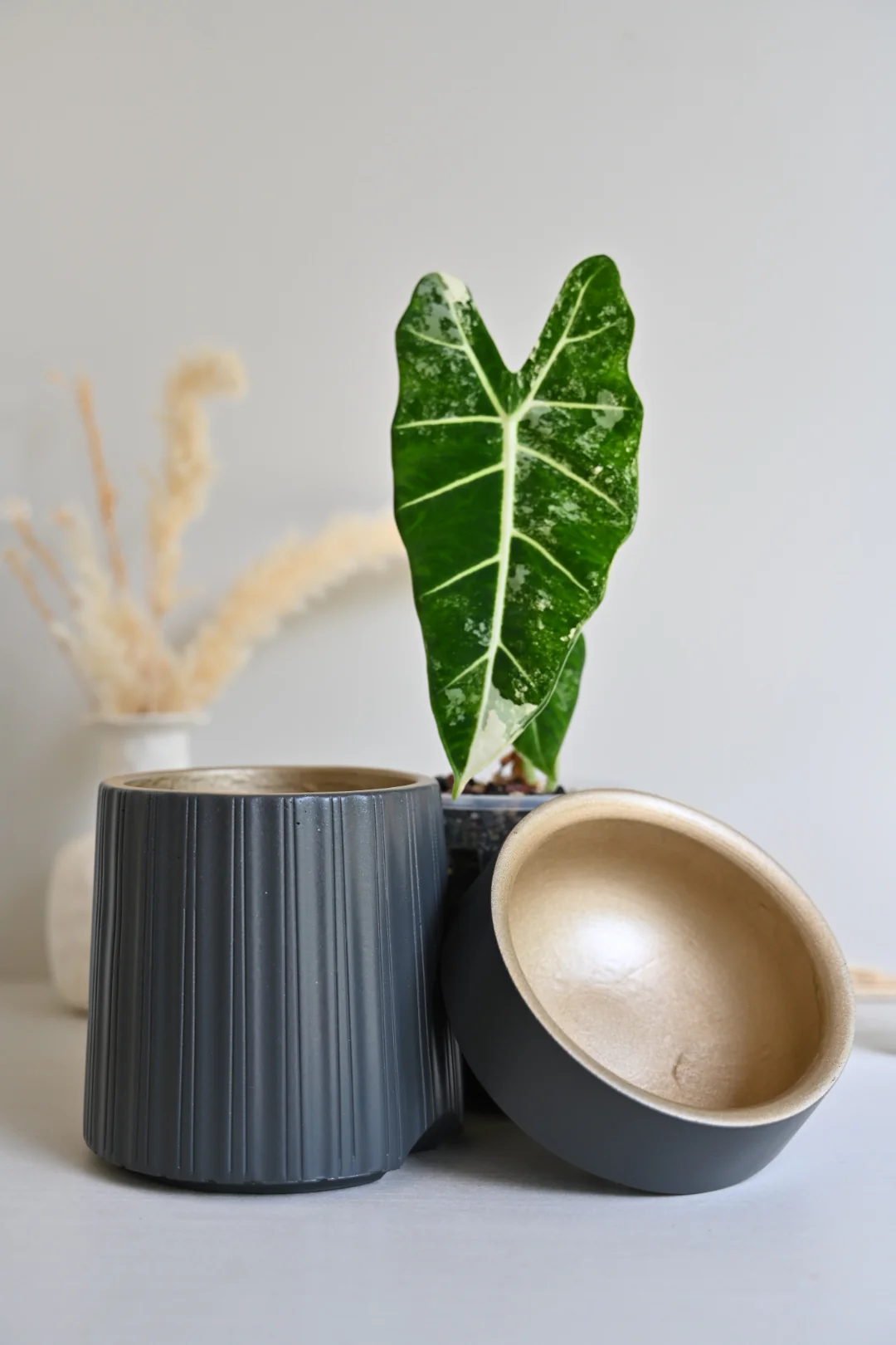 The Column – Tall Striped Self-Watering Concrete Pot (Fits 4.7