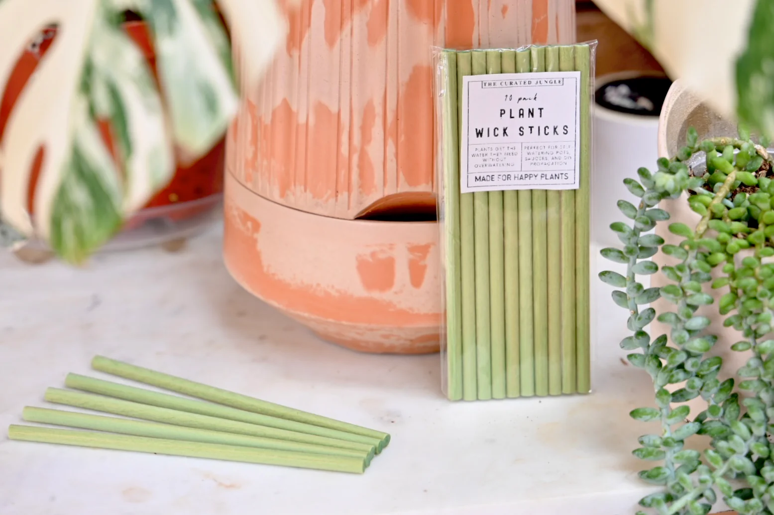 Plant Wick Sticks 10-Pack