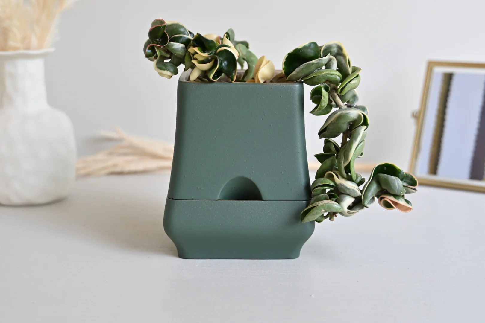 Belle - Self-Watering Concrete Planter