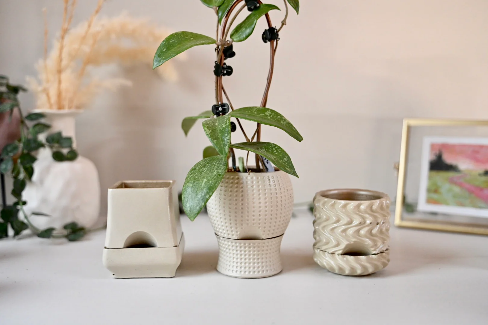 Mini Self-Watering Planter Set (2.5”) | Dizzy, Dottie & Belle