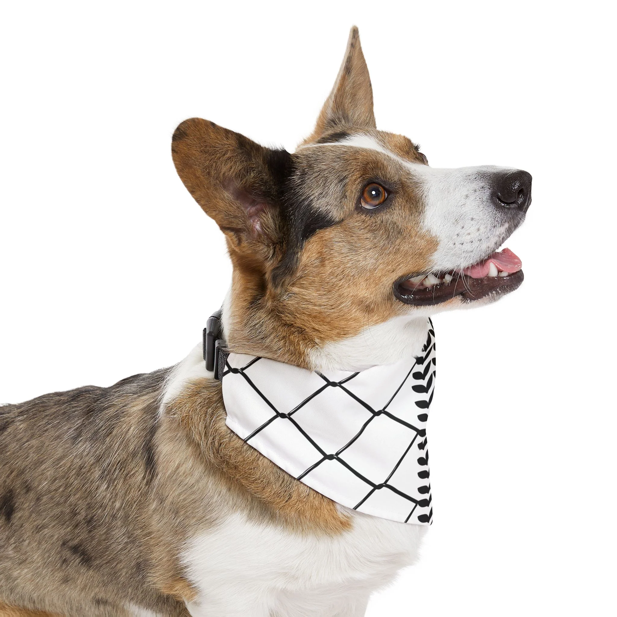 Show Your Solidarity with Our Palestinian Keffiyeh Pet Bandana Collar