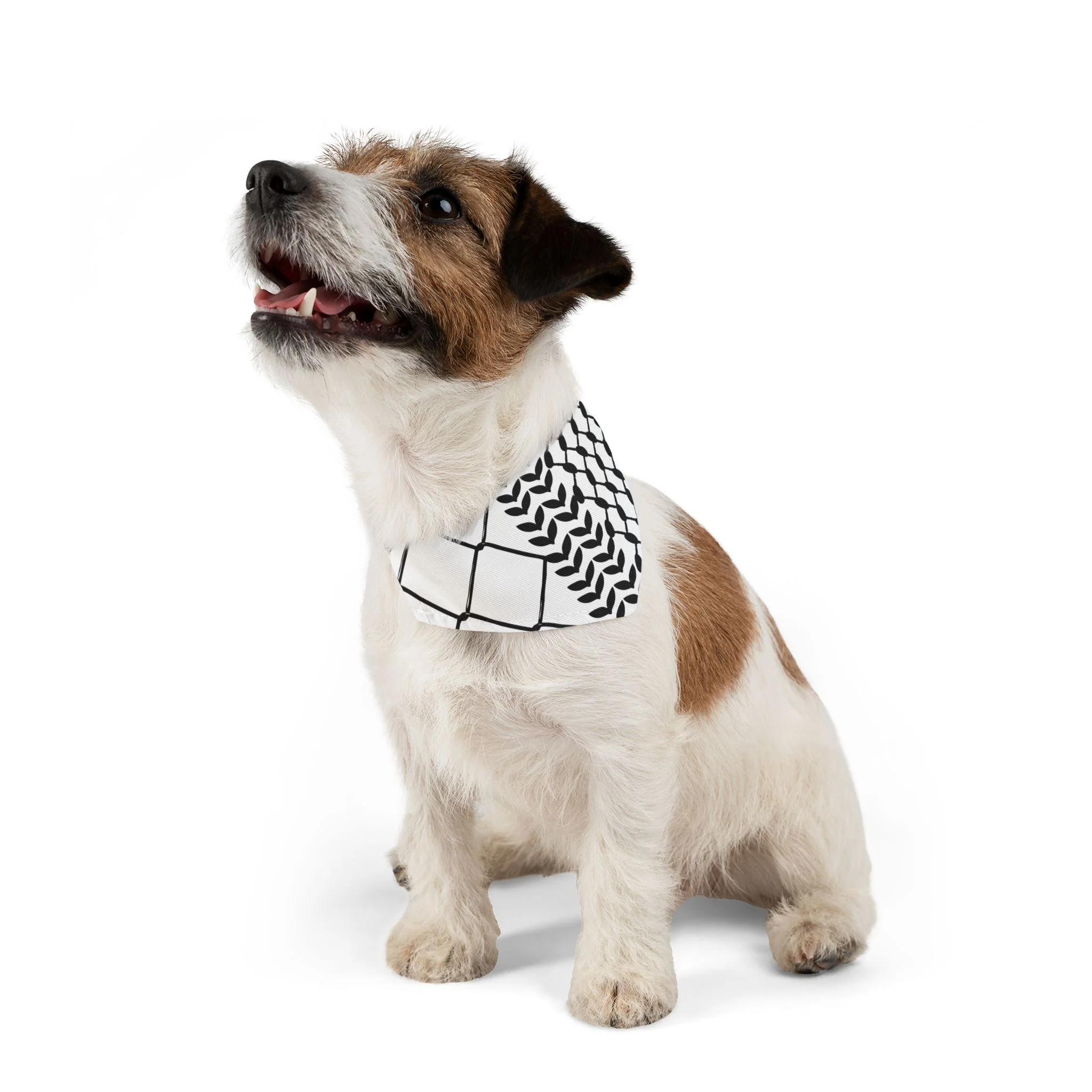 Show Your Solidarity with Our Palestinian Keffiyeh Pet Bandana Collar