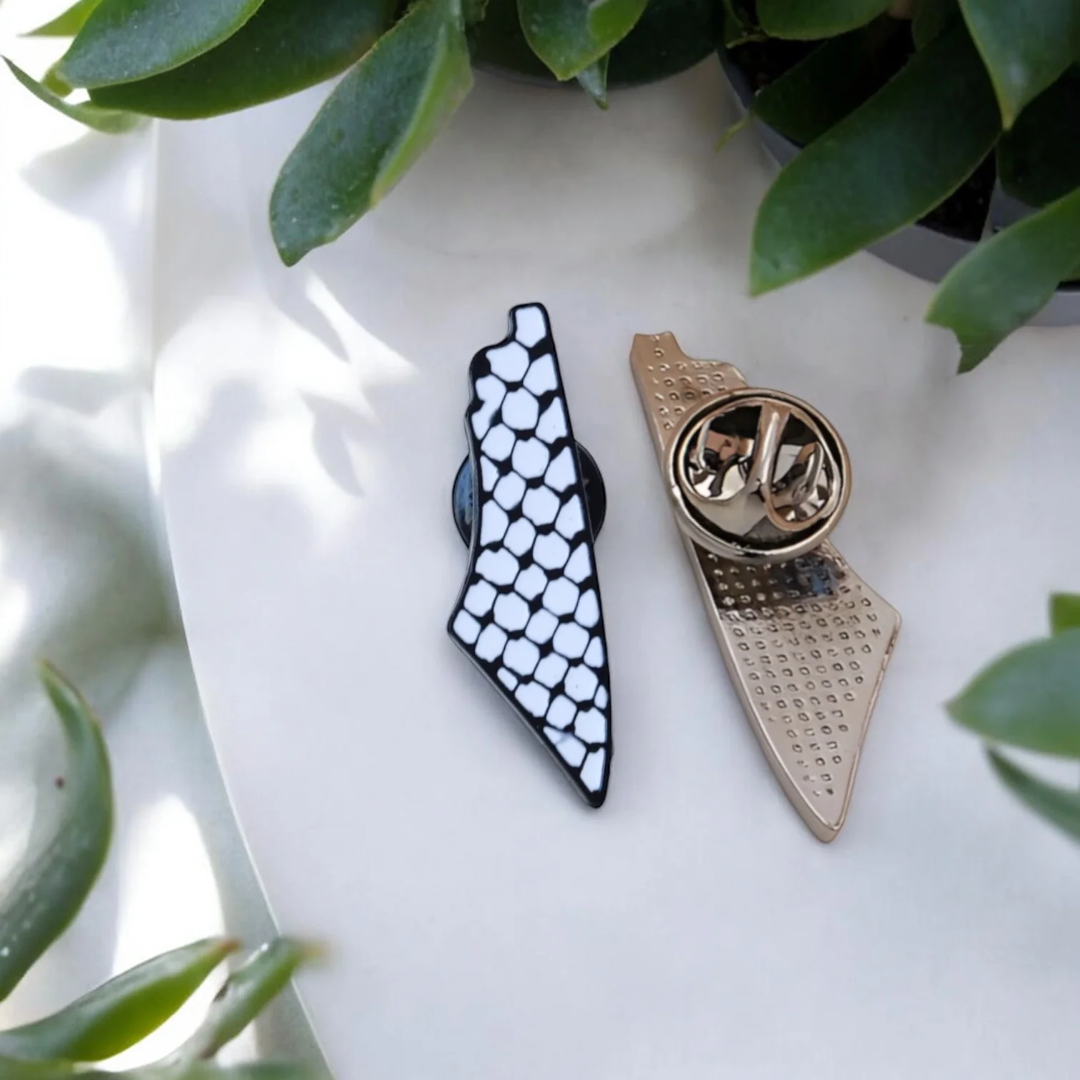 Palestine map Brooch Pin